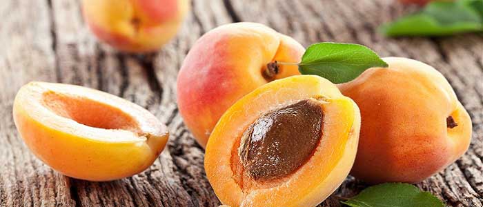 Meypal juicy and aromatic ripe fresh apricots