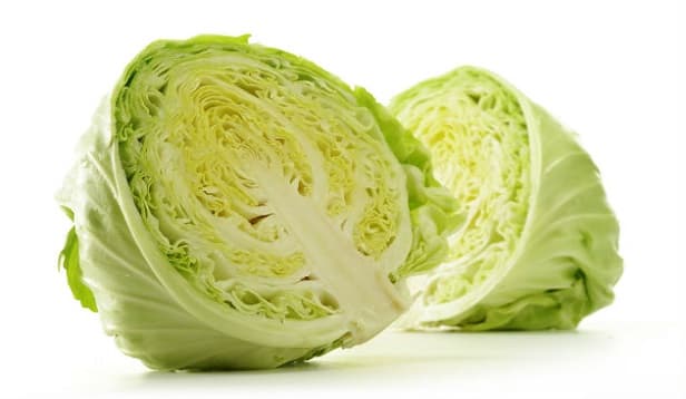 Carefully trimmed fresh white cabbage heads