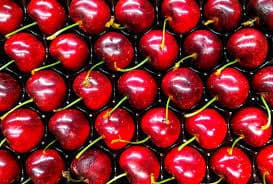Carefully calibrated and packed Turkish cherries for export