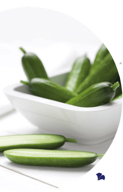 Cucumber
