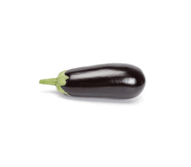 Oval Black Eggplant