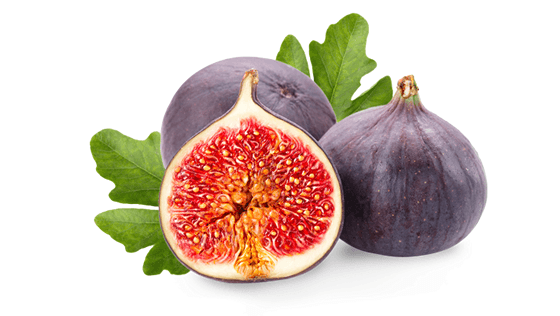 Fig
