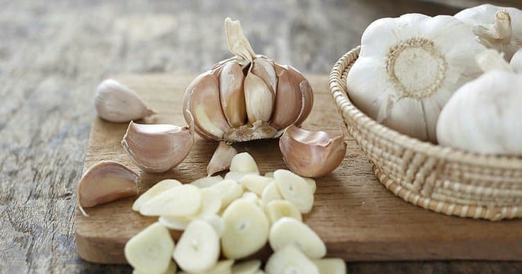 Garlic
