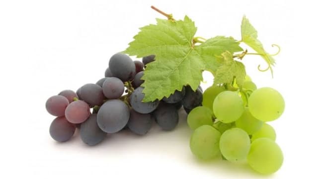 Super Asma Table Grape