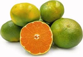 Meypal first-class export quality fresh mandarins