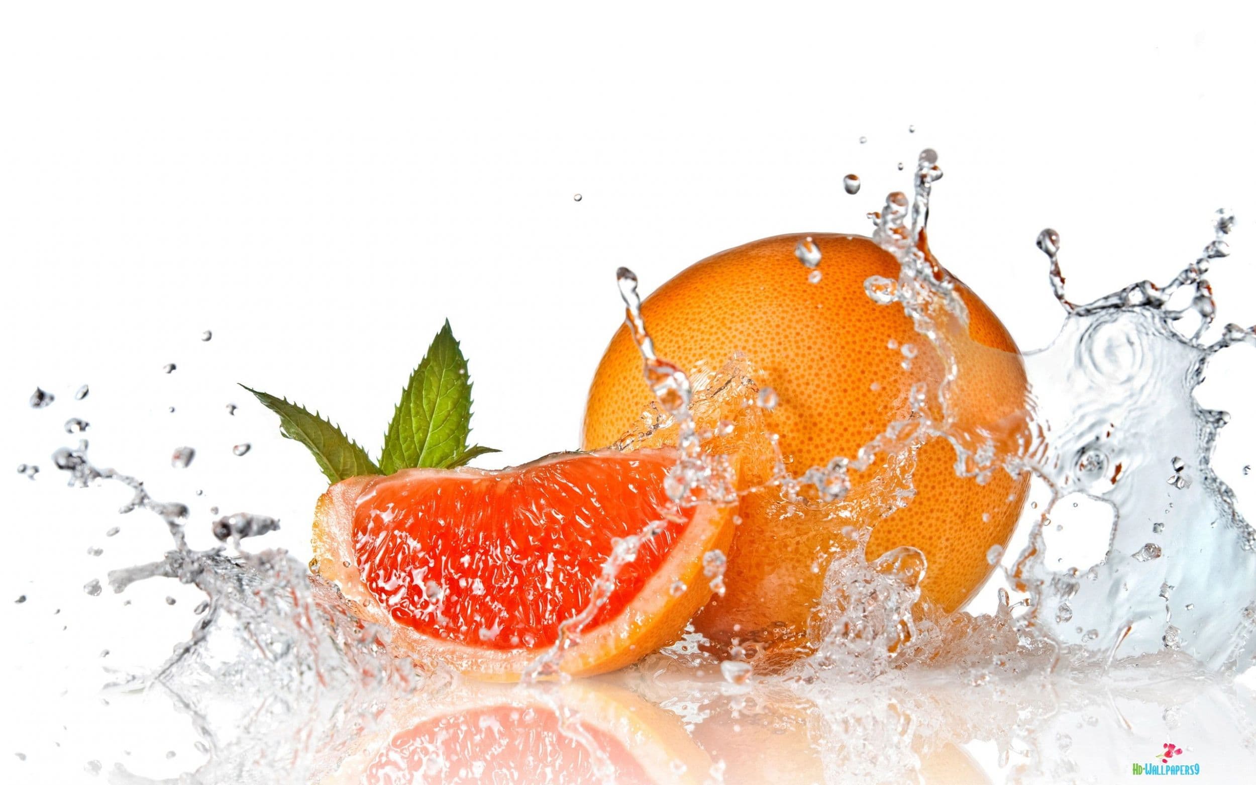 Fresh orange harvesting in Mediterranean citrus groves
