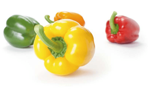 Vibrant and crunchy sweet export peppers