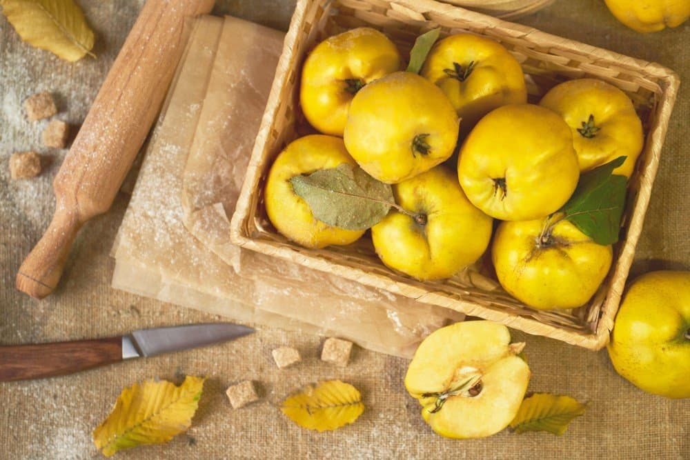Meypal aromatic and juicy sliced quince
