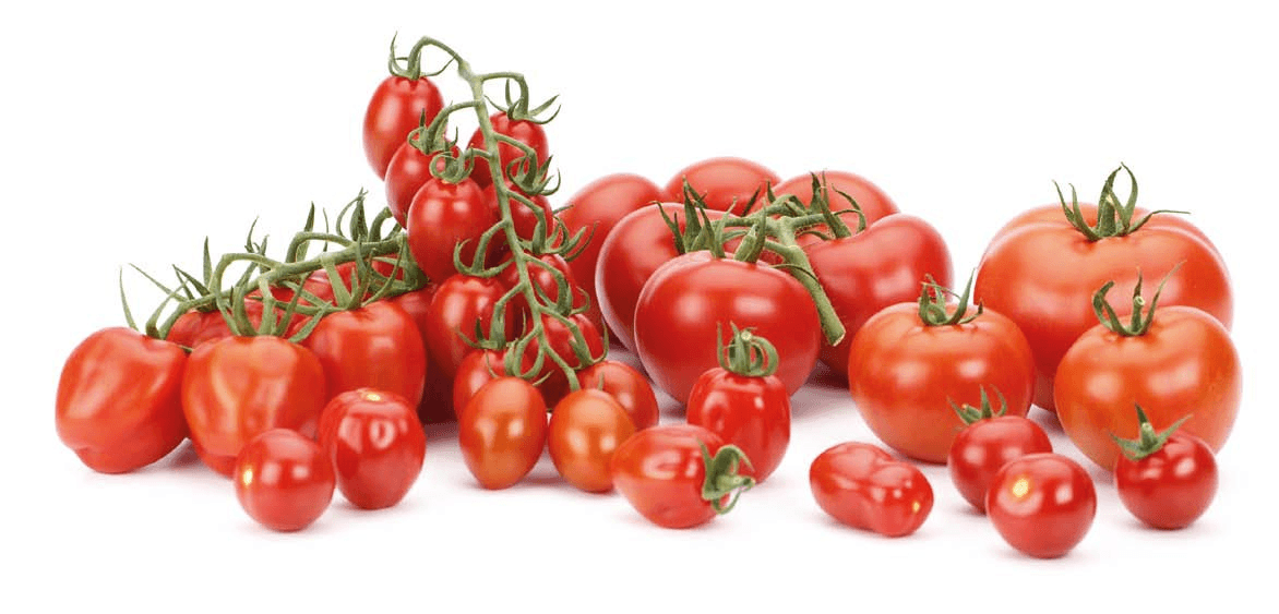 Tomato