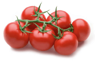 Meypal fresh greens and vegetable processing preparation