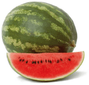 Caribbean cantaloupe melon variety